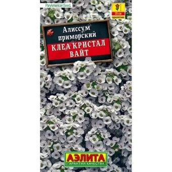 cv-alissum-klea-kristall-vajt-ajelita-1600x1600