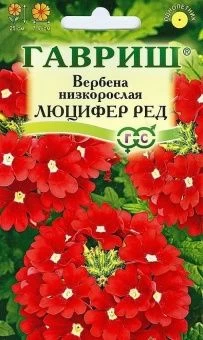 00008203_Вербена Люцифер Ред низкая (Гавриш) 1800