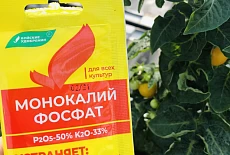 Какими концентрациями удобрительных растворов можно опрыскивать растения и/или поливать их под корень?