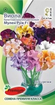 00032394_Виола Мулен Руж букетная (Премиум Сидс)