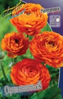 00027435_Ранункулюс Оранжевый 10шт (КолорЛайн)
