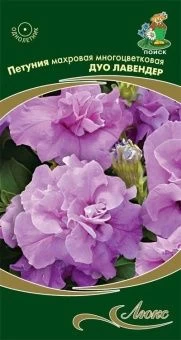 00041117_Петуния Дуо лавендер махровая многоцветко