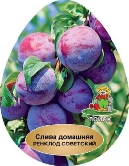 sliva_renklod_sovetsky