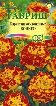 00008430_Бархатцы Болеро отклоненные (Гавриш) 1100