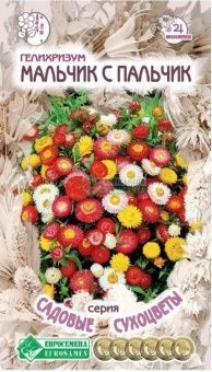 00041948_Гелихризум Мальчик с пальчик 0,1г серия С