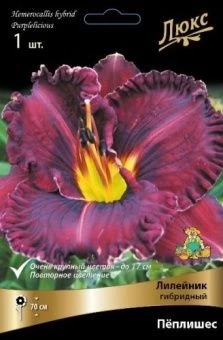 lileinik_gibrid_peplishes_kaper