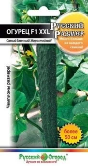 00006313_Огурец Русский Размер 10шт (НК)