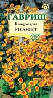 00003035_Кальцеолярия Сансет (Гавриш) 1_1000