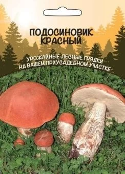 00037604_Гриб Подосиновик Красный (УД)