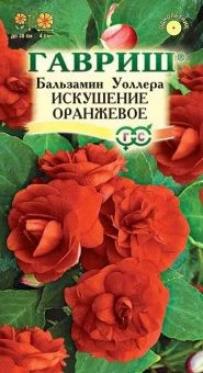00013647_Бальзамин Уоллера Искушение оранжевое (Га
