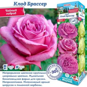 28rbp1y3repimmih9vqo17ci5f7hvluh