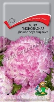00033916_Астра Дюшес Роуз Энд Вайт 0,3г (ПОИСК)