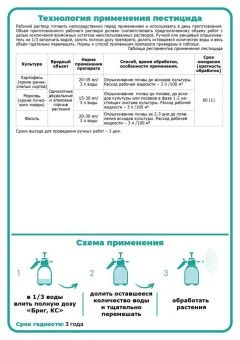 Бриг 100мл (ЩА)