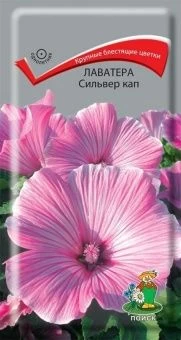 00041089_Лаватера Сильвер кап  0,3гр (ПОИСК)