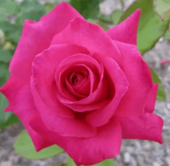 Снимок экрана 2025-10-14 105103