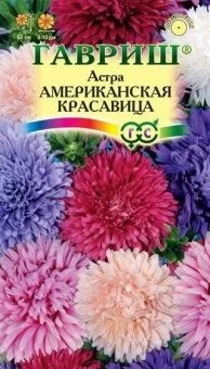 00009117_Астра Американская красавица смесь (Гаври