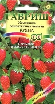 00011468_Земляника Руяна (Гавриш) 1_800