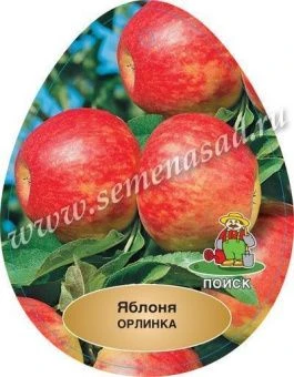 00038171_Яблоня Орлинка (ПОИСК)