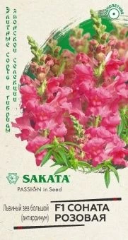 00040875_Львиный зев Соната розовая 10 шт Саката с