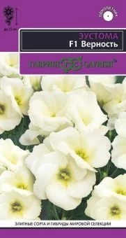 00039843_Эустома Верность F1 низкорослая горшечная (белая) 4шт серия Эксклюзив (Гавриш)