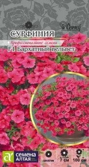 00032260_Сурфиния Бархатный Вельвет 5шт (Сем Алт)