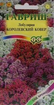 00008334_Лобулярия Королевский ковер серия Сад аро