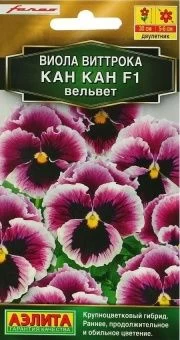 00002850_Виола Кан Кан вельвет (Аэлита)