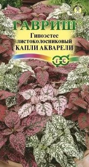 00024454_Гипоэстес Капли акварели (Гавриш)