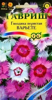 00008309_Гвоздика перистая Варьете смесь серия Аль