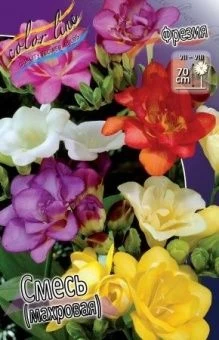 00027446_Фрезия  Смесь махровая 10шт (КолорЛайн)