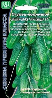 00015746_Огурец Сибирская Гирлянда (УД)