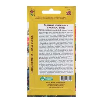 Георгина МУЛАТКА изменчивая смесь 20шт (Евросемена)