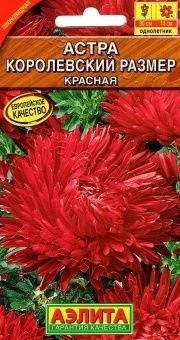 00022742_Астра Королевский размер красная (Аэлита)