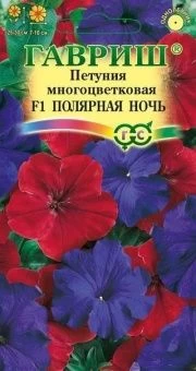 00011635_Петуния Полярная ночь (Гавриш) 1_1000
