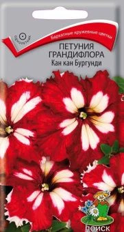 00033939_Петуния Кан Кан бургунди грандифлора (ПОИ