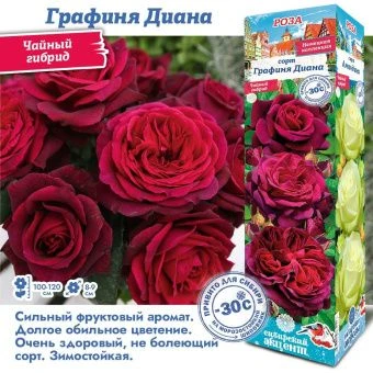 6deuwrwhv36u6j7asx3ko335iqyugsro