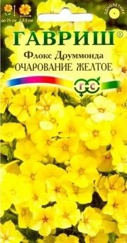 00001177_Флокс Очарование желтое друммонда (Гавриш