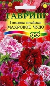 00011610_Гвоздика китайская Махровое Чудо (Гавриш)