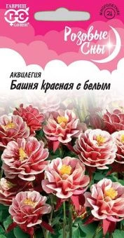 00029299_Аквилегия Башня красная с белым серия Роз