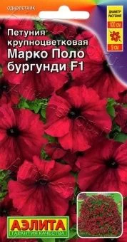 00010628_Петуния Марко Поло бургунди (Аэлита)