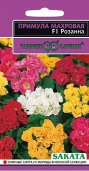 00011639_Примула Розанна махровая (Гавриш)