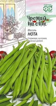 00020259_Фасоль Нота Урожй на окне Гавриш