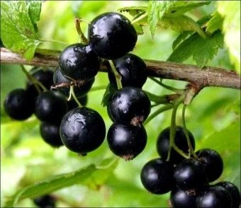 3b8d0ce2e82293d9c235d4ec6056edcf