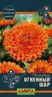 00039680_Календула Огненный шар (Аэлита)