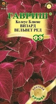 00025966_Колеус Визард Вельвет Ред 4шт серия Элитная клумба (Гавриш)