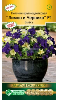 5mu9dap79lwr6g7mdv4vitcz03bkk3oy