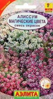 00012309_Алиссум Магические цвета смесь (Аэлита)