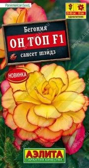 00035507_Бегония Он Топ F1 сансет шэйдз (Аэлита)