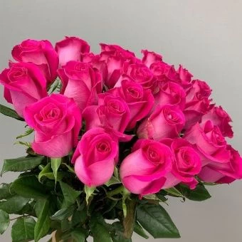 1666396115_8-kartinkin-net-p-roza-topaz-pinterest-8