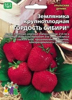 00041223_Земляника Гордость сибири крупноплодная 1